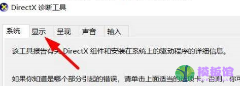 怎么检查DirectX信息显示驱动程序